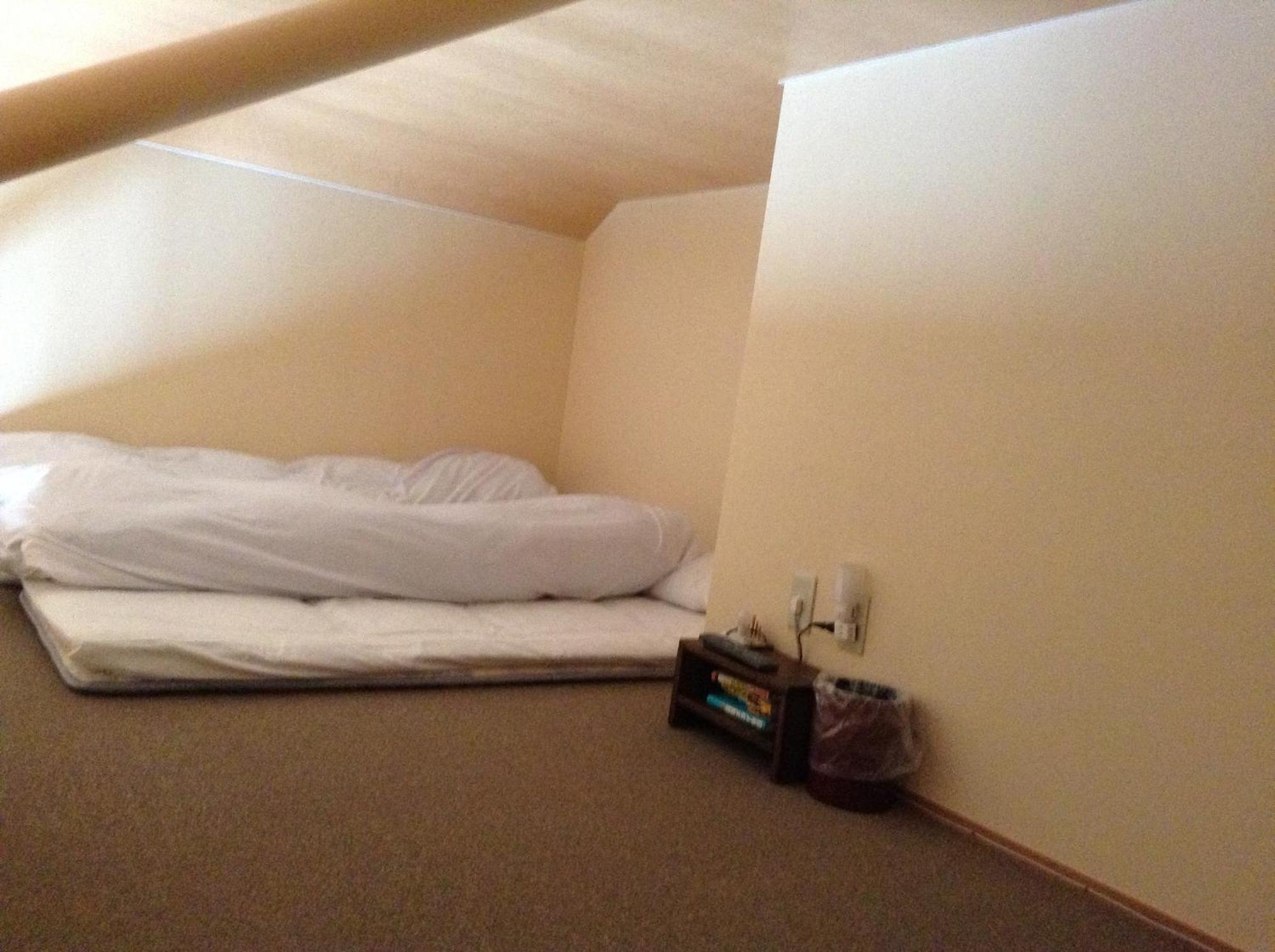 Minamiya 山とねこと遊ぶ宿 みなみ家 Hakuba Kültér fotó